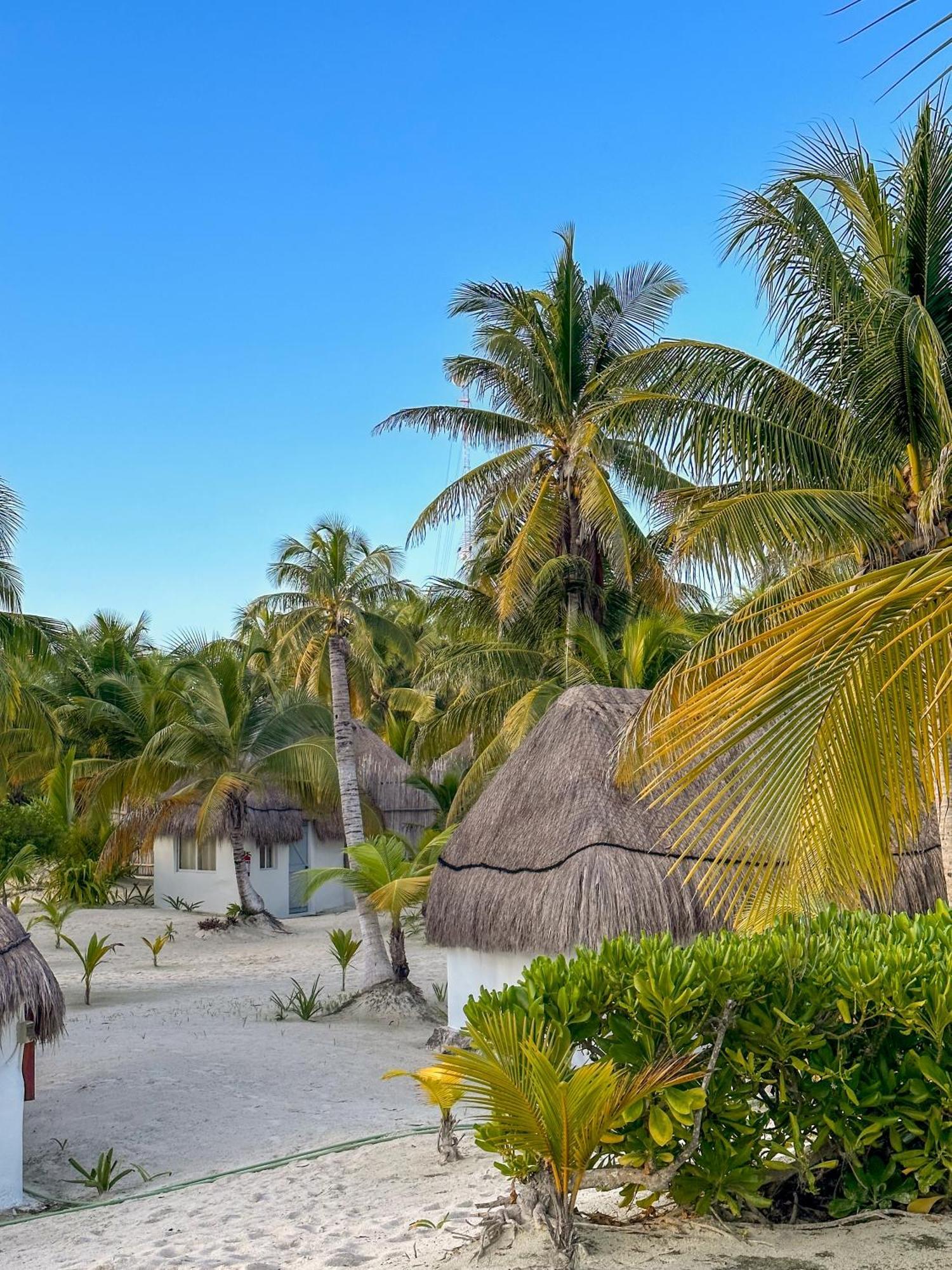 Alito Tulum Hotel Eksteriør bilde